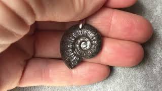 Pendentif ammonite pyritisée