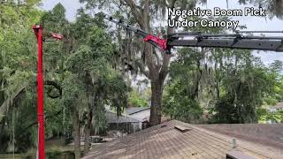 Threading the Canopy: Negative Angle Crane Pick | Jax Tree Removal