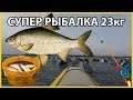 ЗИМНЯЯ РЫБАЛКА 23 кг ТАРАНИ