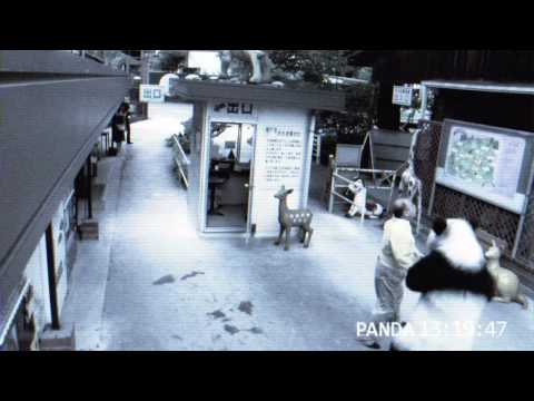 PANDA!?Part3