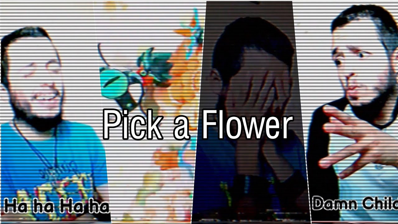 Pick a Flower / Jack Stauber YouTube