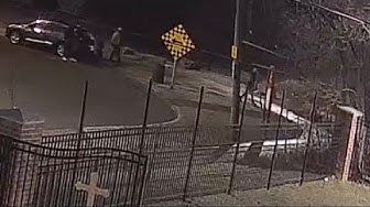 Thumbnail for CAUGHT ON CAMERA: Cops seeking help following Hamilton shooting