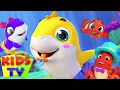 New Baby Shark Song | Mommy Shark | Five Little Sharks | More Nursery Rhymes & Baby Songs - Kids Tv