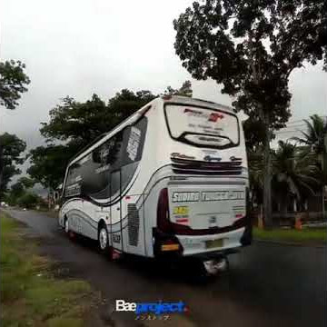 STORY WA BUS STJ IGUAZU MAS BAGUS TERBARU SUOS