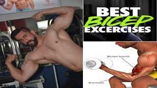 Increase Your Biceps Size & Strength!Bicep Exercises for Bigger Arms!Asfhan Raja Fitness