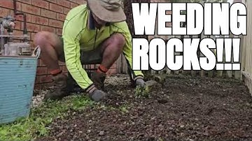 The Most Satisfying Way to Pull Weeds!