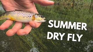 Dry Fly Fishing for Trout UK - Summer Session