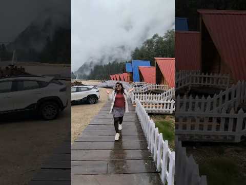 The World Famous Chigu Camp Shorts 