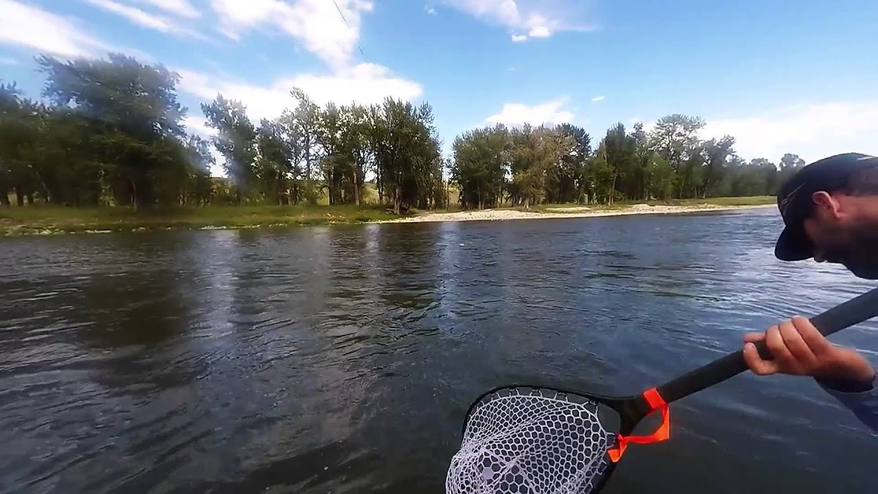 Fly Fishing Bow River YouTube
