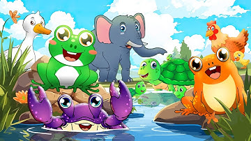 รวมเพลงเด็ก เพลงกบ อึ่งอ่าง ปู ช้าง เต่า ลิง ไก่ แมงมุม | เพลงสัตว์ | Mr frog Kids Songs