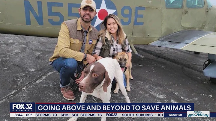 Chicago couple has rescued over 120 animals out of...