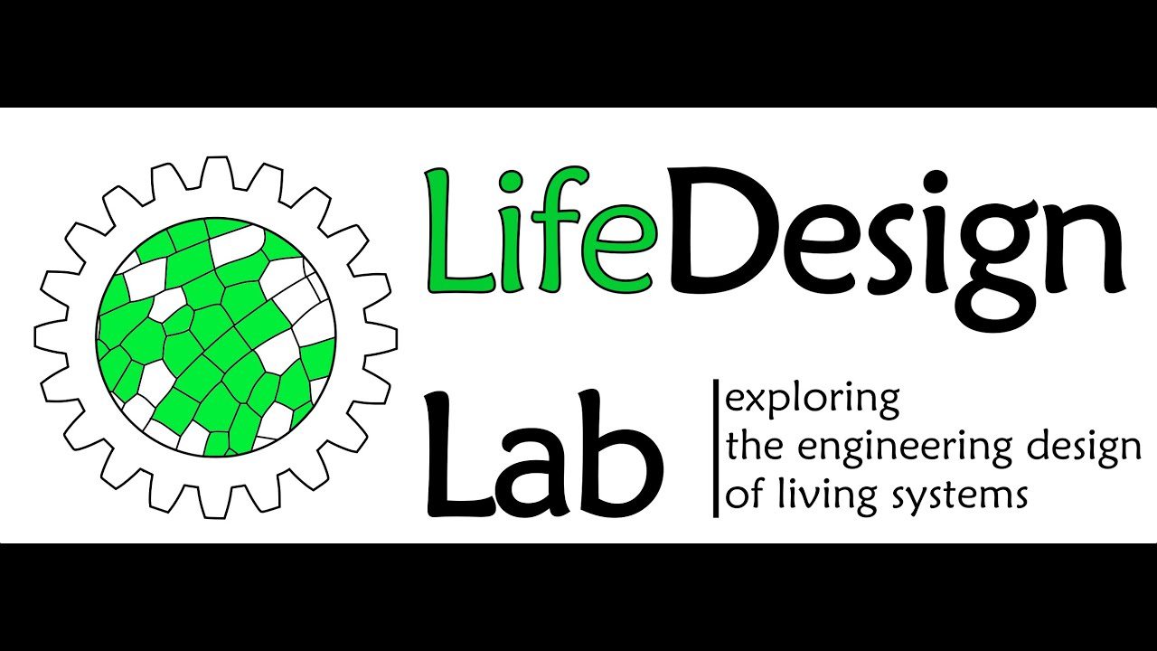 Exploring the Engineering Design of Living Systems | LifeDesign Lab | Hamed Rajabi