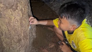 Một đêm đi bắt ve sầu trong rừng xà cừ sau trường Lê Quý Đôn