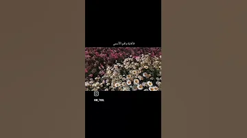 للجنة نسعى بنضال اكسبلور متابعة بدون موسيقى 