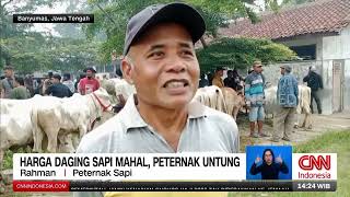 Harga Daging Sapi Mahal, Peternak Untung  | REDAKSI (09/04/26)