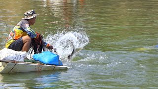 เหมาสระหว่านแหล่าปลาบึก 100ตัว ใครไวคนนั้นได้ Cast net fishing big fish.