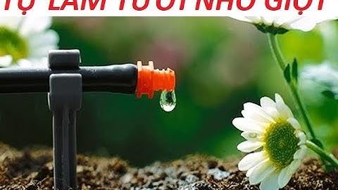 Cách làm hệ thống tưới nhỏ giọt ban công tự động | automatic balcony drip irrigation system