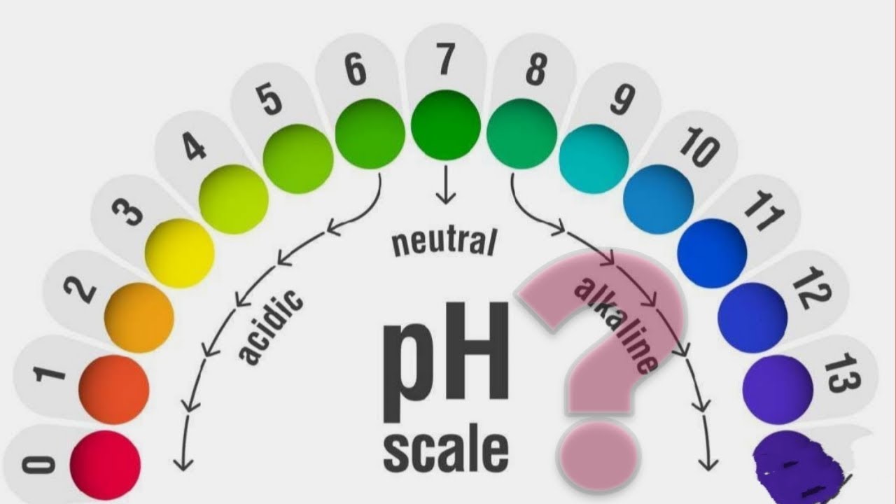 The pH SCALE AND VALUE | science | knowledge | Arivai ari - YouTube