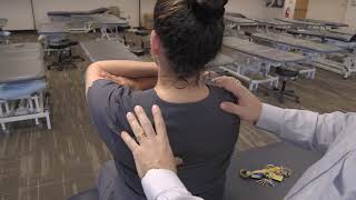 FPR Thoracic for T6 screenshot 4