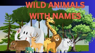 Wild Animals With Names