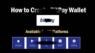 How to Create BitPay Wallet step by step screenshot 4