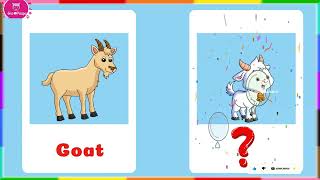 Goat Baby Name in English | Goat Young One Name | what is a baby Goat’s name?