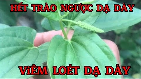 Vĩnh biệt trào ngược dạ dày bằng hàm ếch và cây chè dây.