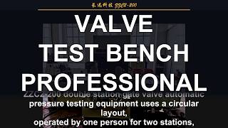 ZZC2 200 Valve Test product features