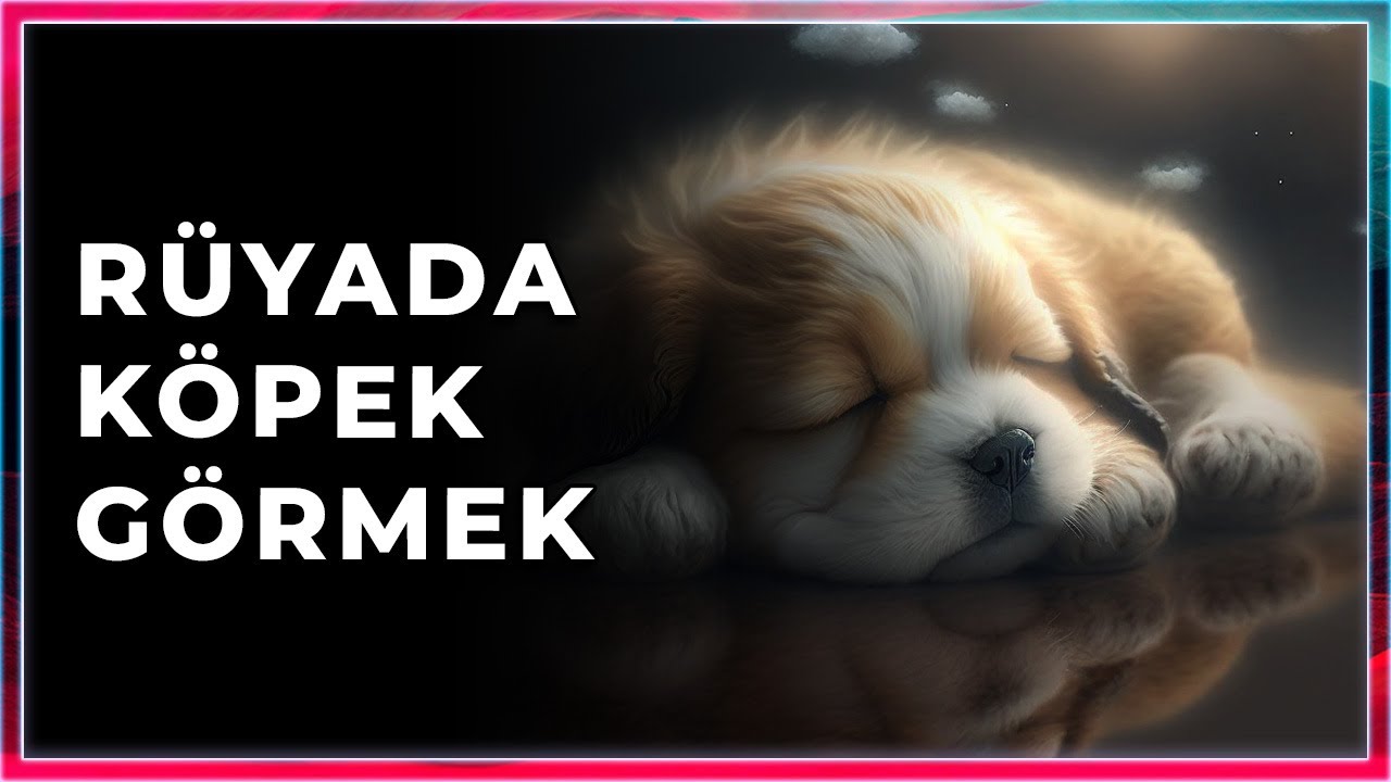 Rüyada Köpek Görmek ne Anlama Gelir? - #rüya #rüyatabirleri #