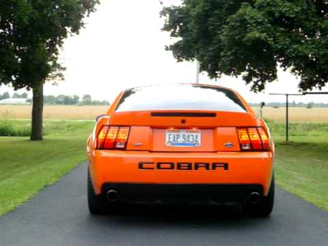 What Is Svt >> 2004 SVT Cobra Competition Orange Coupe - YouTube What Is Svt >> 2004 SVT Cobra Competition Orange Coupe - YouTube