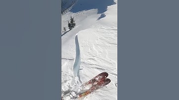 Avalanche Mitigation