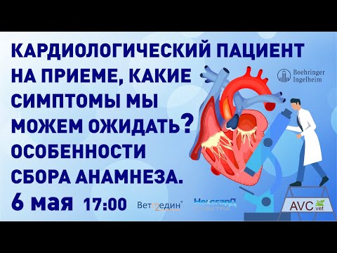 Кардиологический пациент на приеме (А.Г. Комолов)