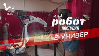 картинка: Белый робот поступил в универ