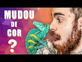 O CAMALEÃO MUDOU DE COR? | PAPO DE BIÓLOGO