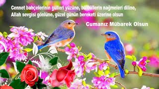 Vidyolu A Mesajlari Indir