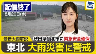 ウェザーニュースの配信のサムネイル画像