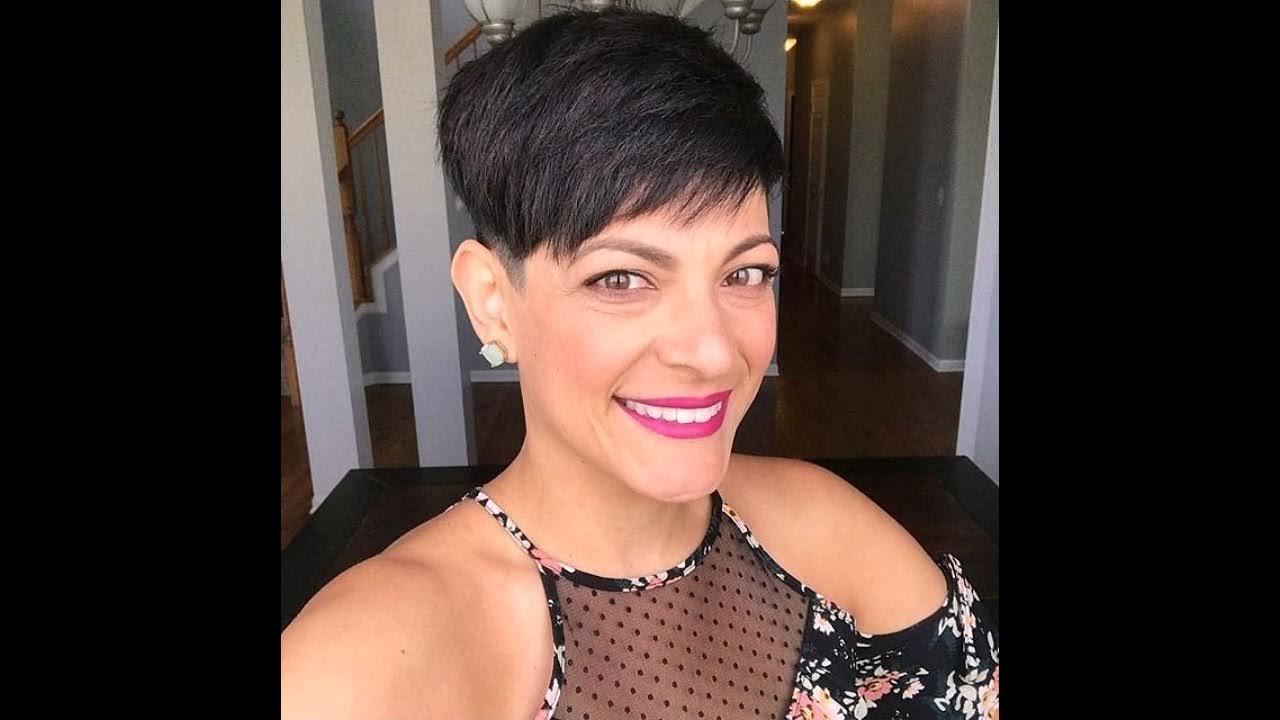 Flattering and reasonable Collection of 2024 2025 short pixie bob
