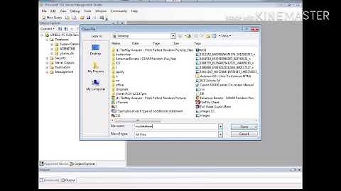 Combine SQL Databases into One | Microsoft SQL