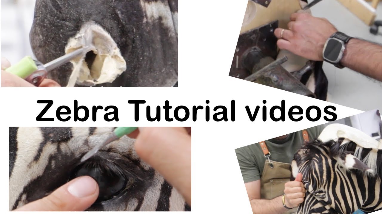 Обучающее видео по креплению Zebra на плече. Трейлер 2.
