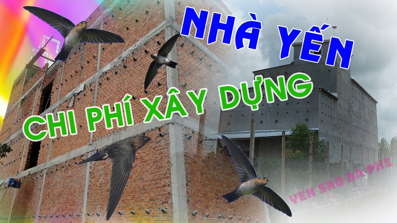 CHI PHÍ XÂY DỰNG NHÀ YẾN | Kỹ Thuật Xây Dựng Nhà Nuôi Yến