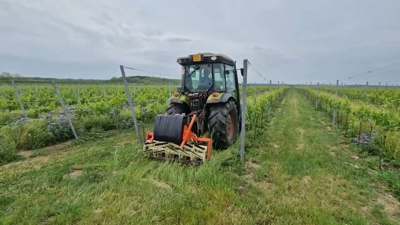 Travní válec BRAUN Actiroll