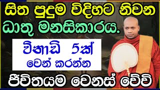 ධාතු මනසිකාරයෙන් රූපය නිරුද්ධ කරන අයුරු | Hasalaka Seelawimala Thero | භාවනා වැඩසටහන | 3007