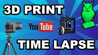 3D Print Timelapse: Owl