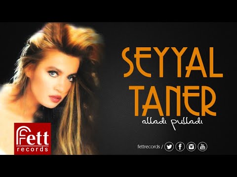 Seyyal Taner - Hadi Canım Sende