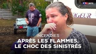 Wildfires: After the flames, the shock for victims｜TF1 INFO screenshot 3