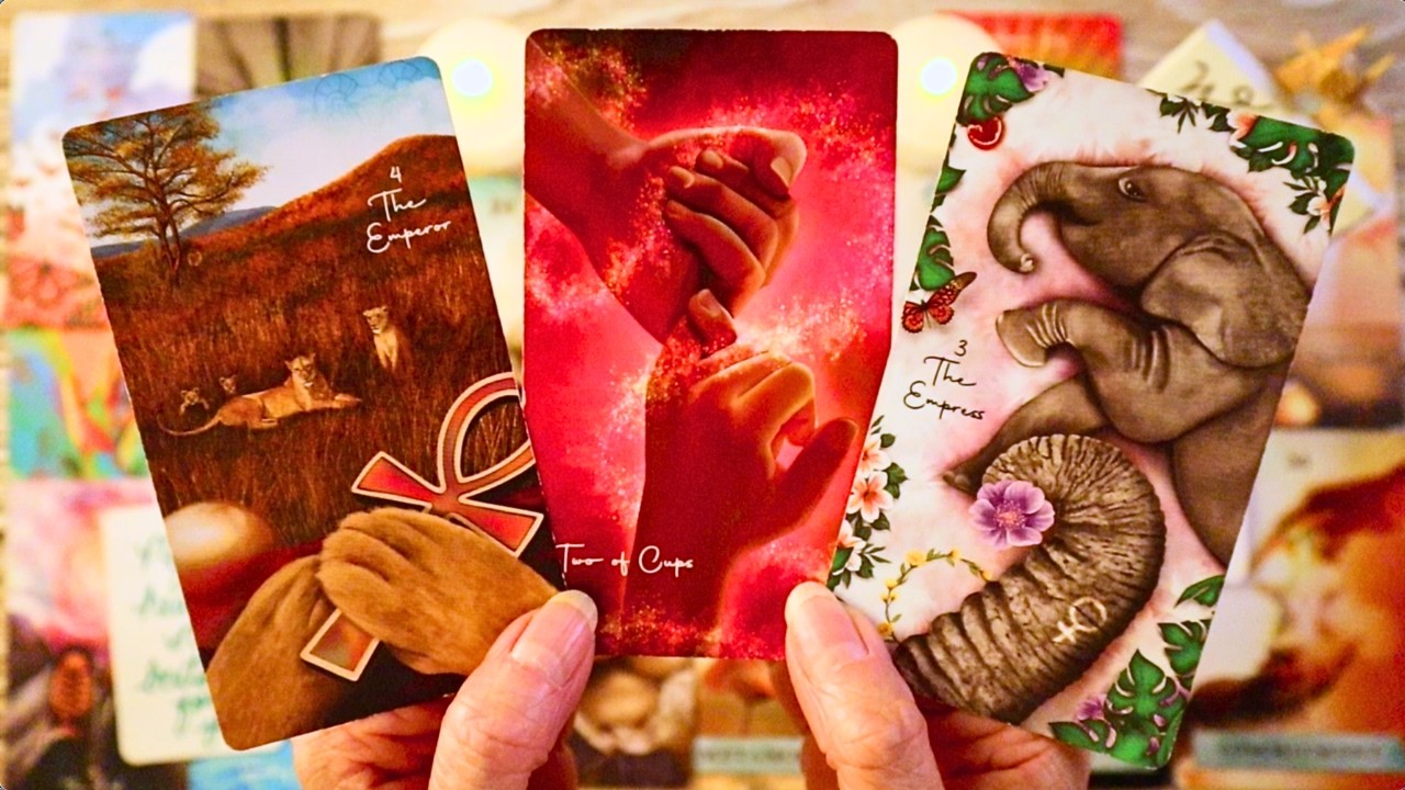 THE PERSON YOU’RE WAITING ON IS ABOUT TO SURPRISE YOU!! WATCH TO THE END!! ❤️ ALL SIGNS TAROT