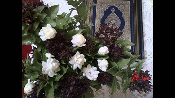 سورة الأنفال _ ادريس ابكر