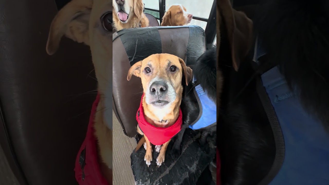 #перекличка