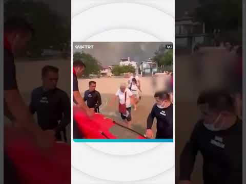 إنقاذ 348 شخصاً من حرائق الغابات