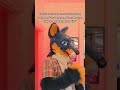 double standards much?... #furry #furryfandom #fursuit #fursuiter #fursuiters #furries